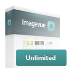 Imagevue Unlimited License $500.00 USD