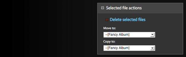 Imagevue Control Panel Manage Selected File Actions Panel